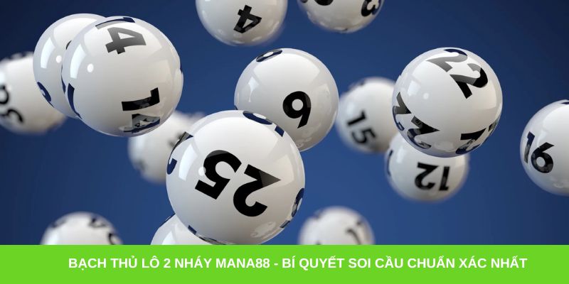Bạch thủ lô 2 nháy Mana88 - Bí quyết soi cầu chuẩn xác nhất